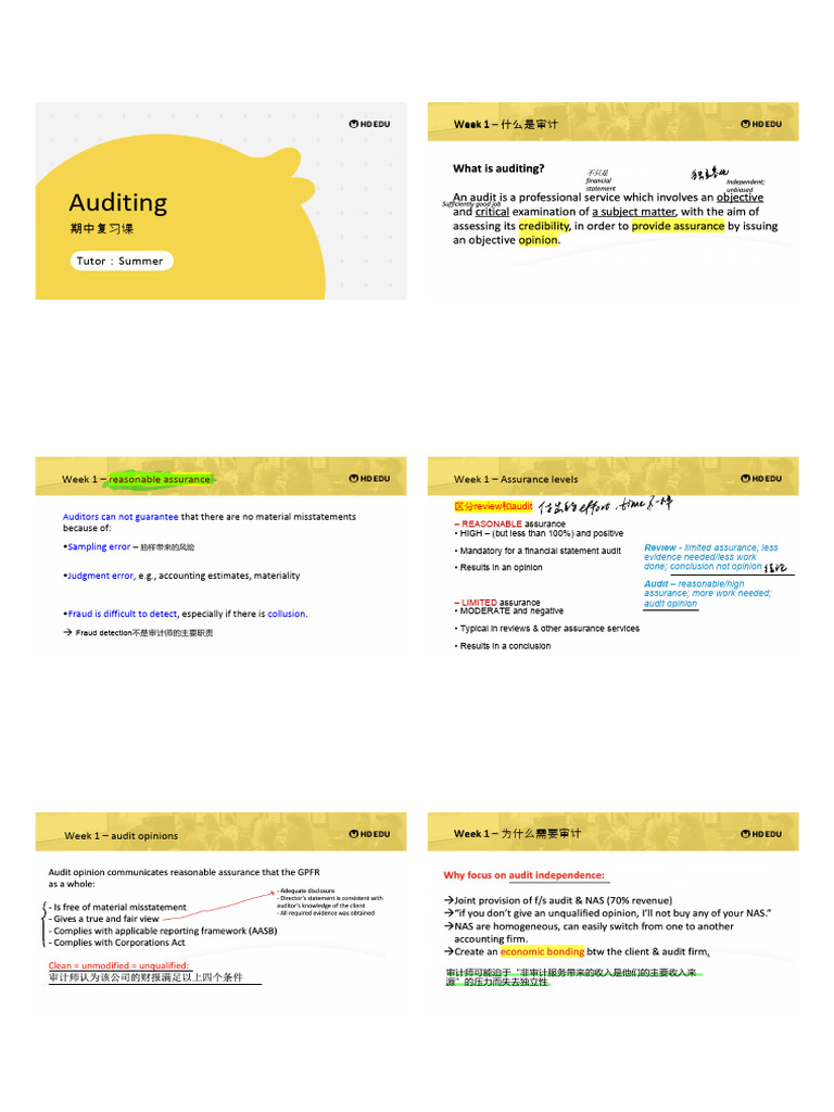 Understanding Auditing Principles and Needs | PDF | Audit | Internal ...