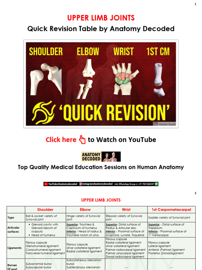 Upper Limb Joint Anatomy Guide | PDF | Anatomical Terms Of Motion | Elbow