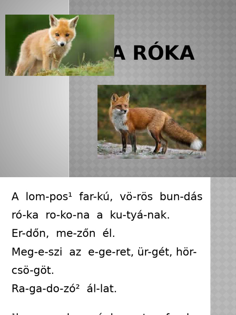 A Róka | PDF
