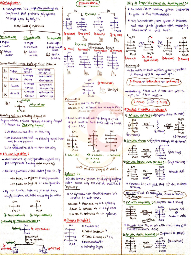 Biomolecules Pdf Pdf