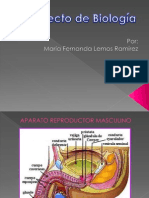 Biología - María fernanda Lemos