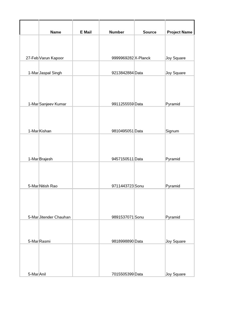 Real Estate Calling Data Overview | PDF