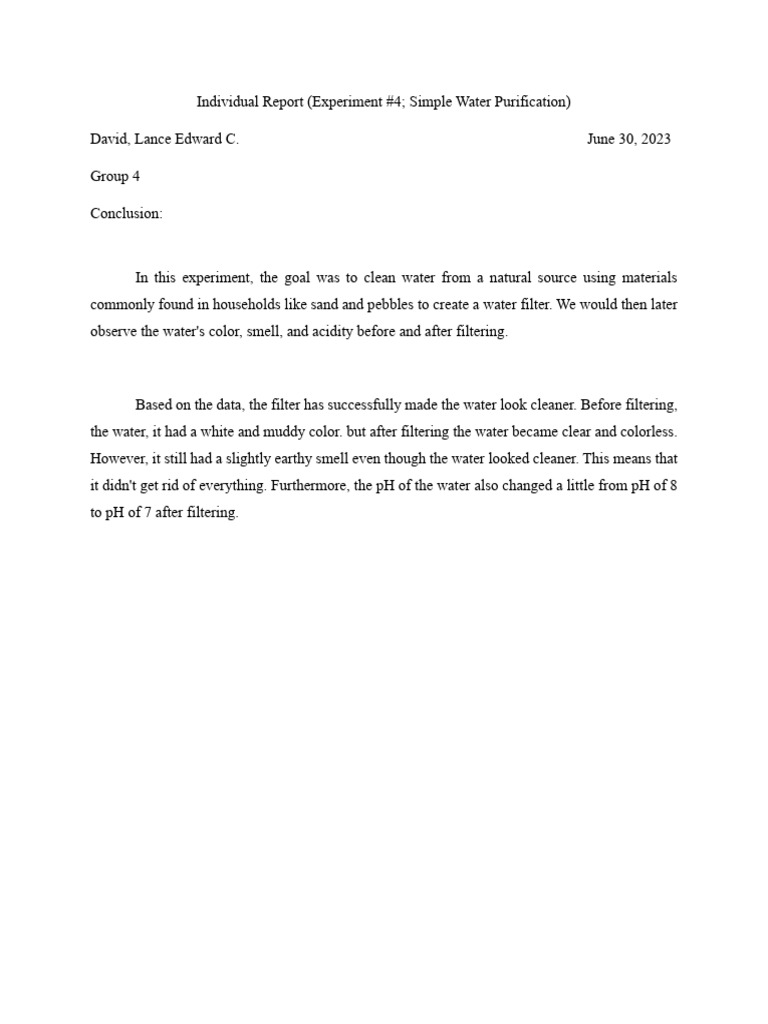 David - Individual Report 4 | PDF