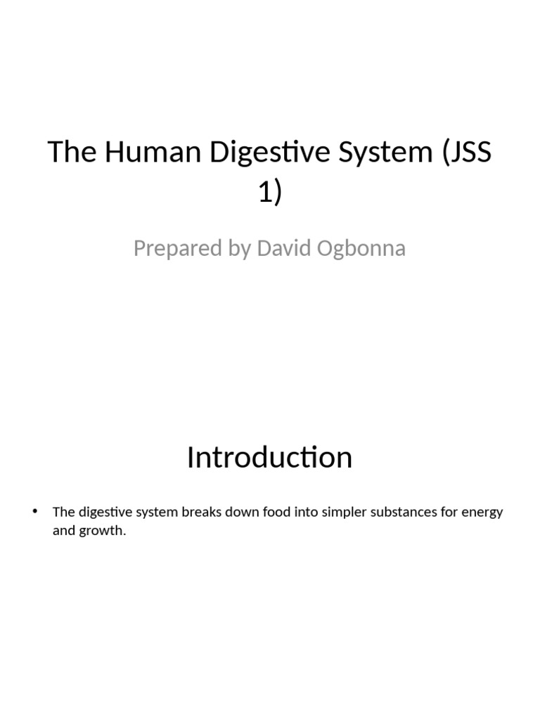 Overview of the Human Digestive System | PDF