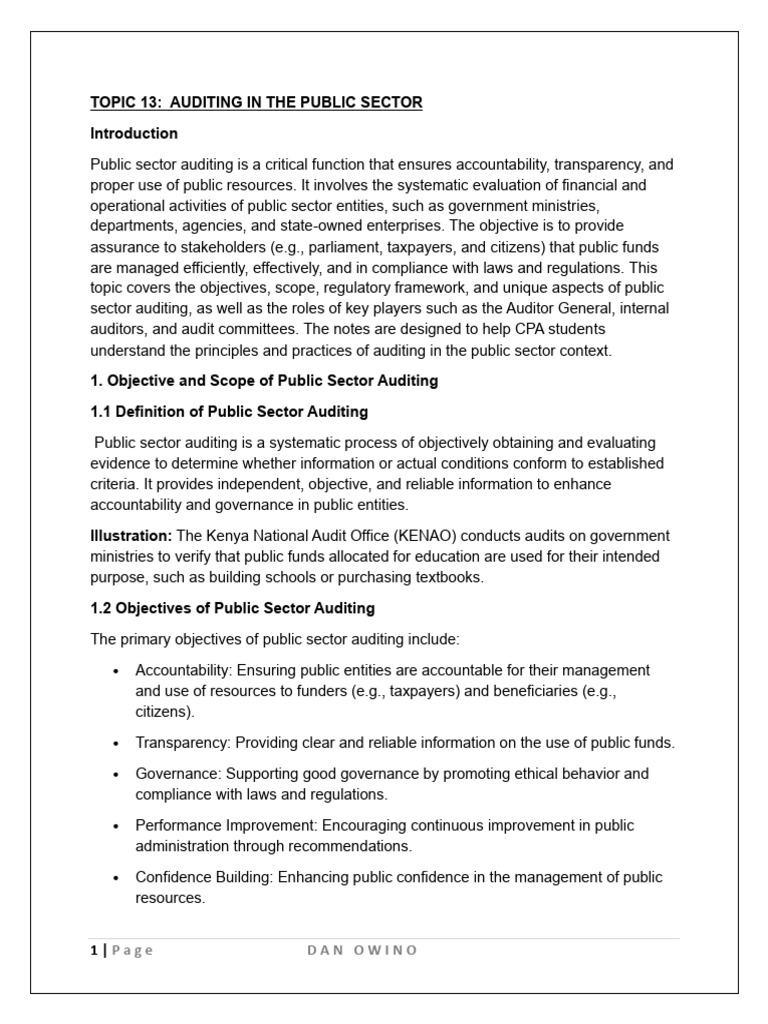 Public Sector Auditing Overview | PDF | Audit | Auditor's Report
