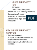Key Issues in Project Analysis