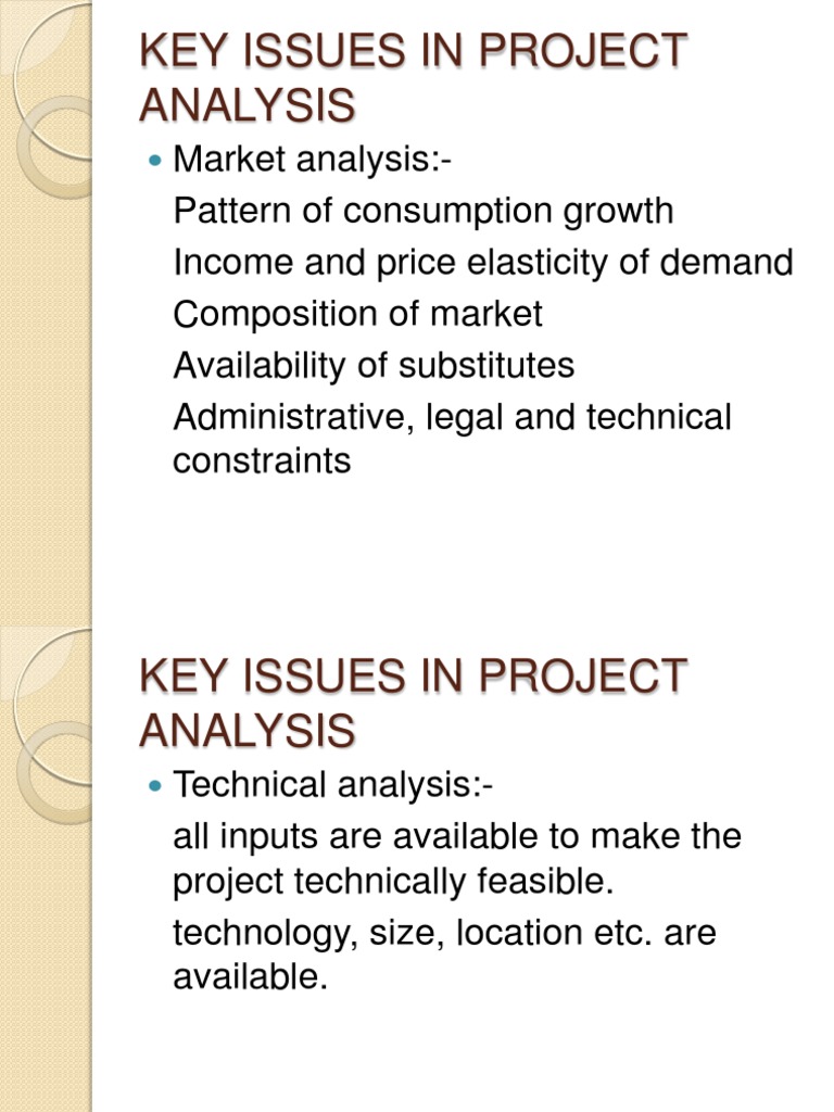 Key Issues in Project Analysis Guide | PDF