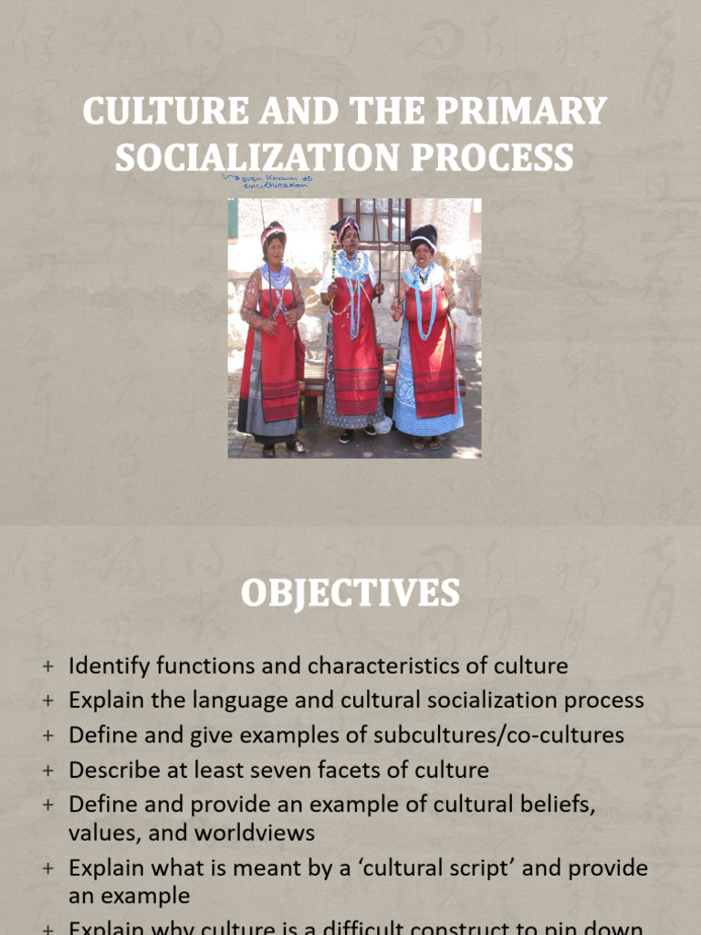 Understanding Culture and Socialization | PDF | Communication ...