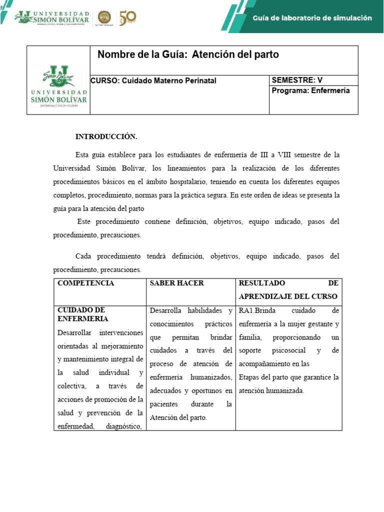 Guía de Atención del Parto en Enfermería | PDF | Parto | Especialidades ...
