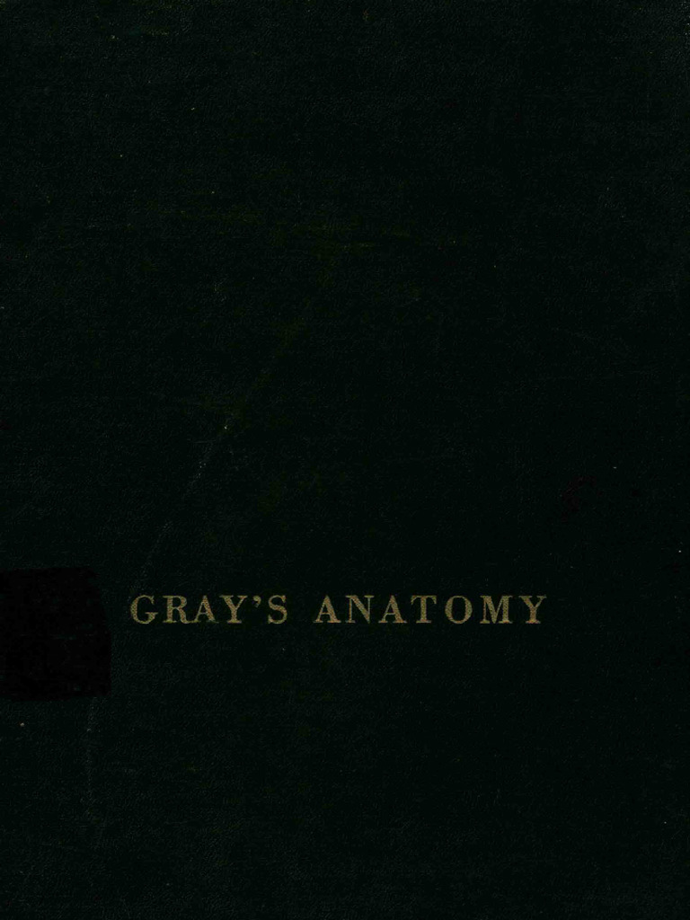 Understanding Private Parts Anatomy | PDF