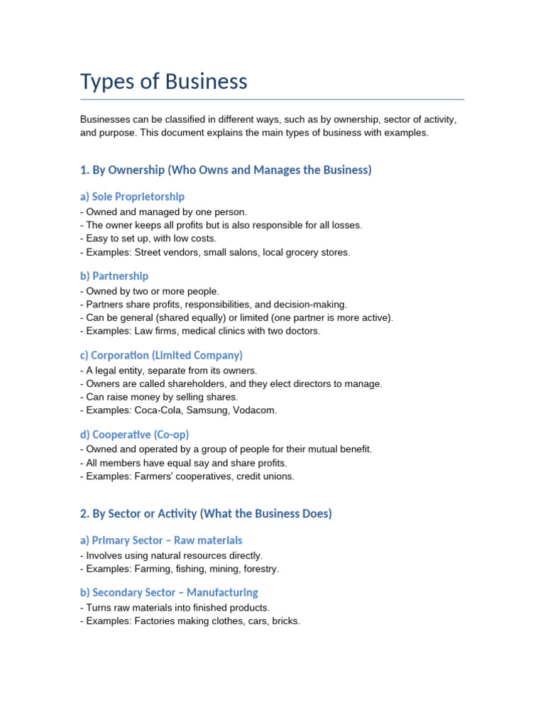 Types of Business | PDF
