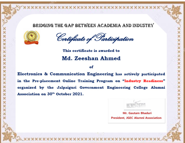 Bridging The Gap Induction Program - Certificate of Participation ...