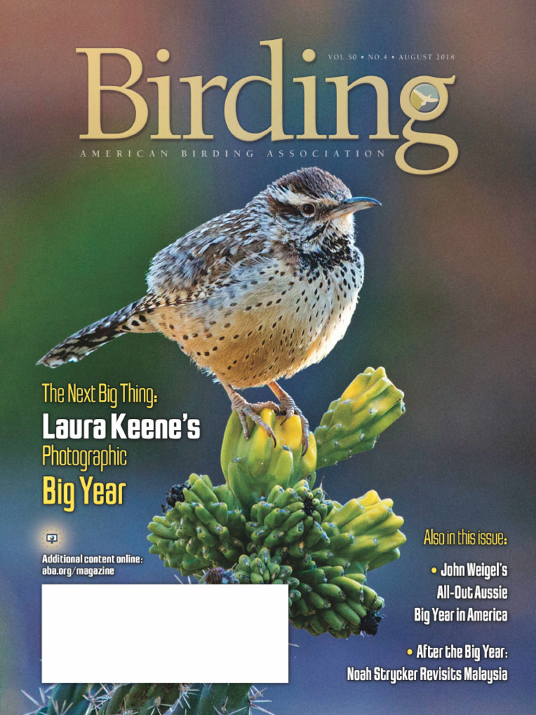 Magazine 1 | PDF | Birdwatching | Ornithology