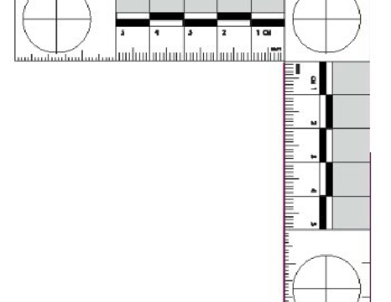 Pps800 Large - JPG | PDF