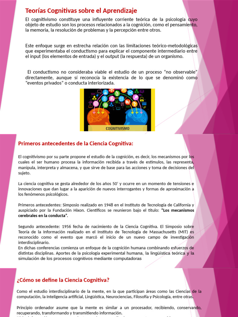 Teorías Cognitivas del Aprendizaje y Memoria | PDF | Cognición ...