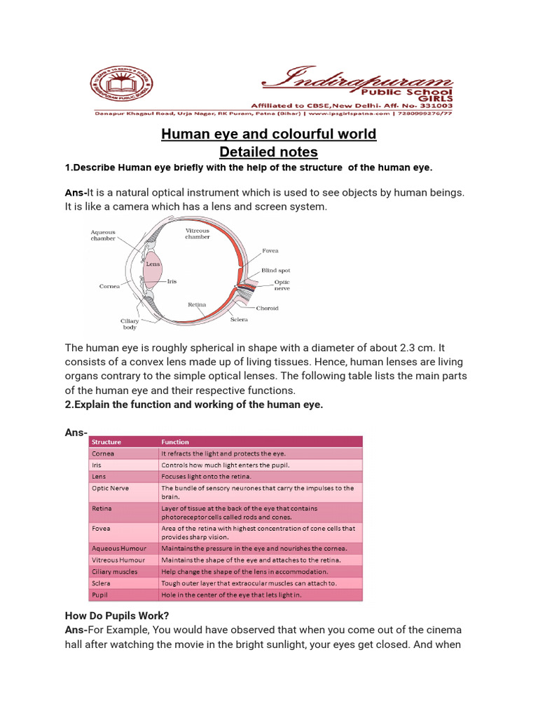 Human Eye Question Bank With Notes | PDF | Eye | Human Eye