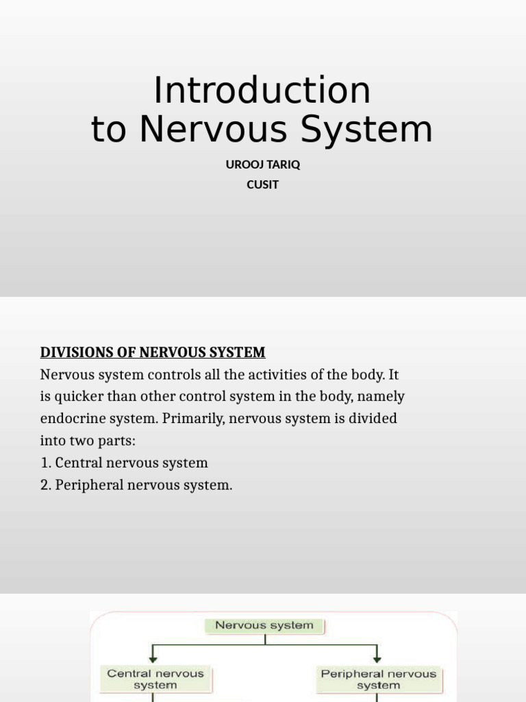 NERVOUS SYSTEM.1 | PDF | Chemical Synapse | Inhibitory Postsynaptic ...