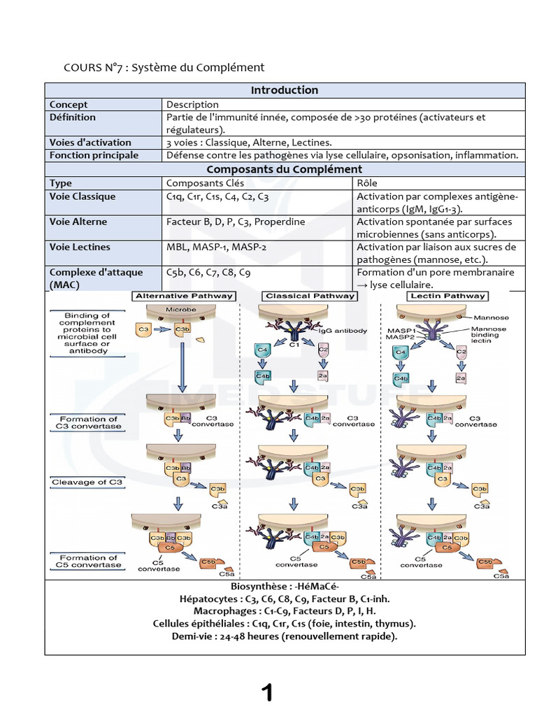 Comprendre le Système du Complément | PDF | Système du complément ...