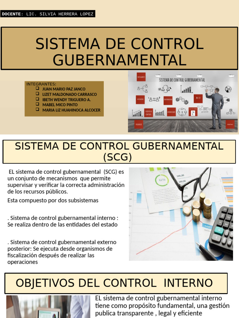 Sistema de Control Gubernamental: Guía Completa | PDF | Auditoría