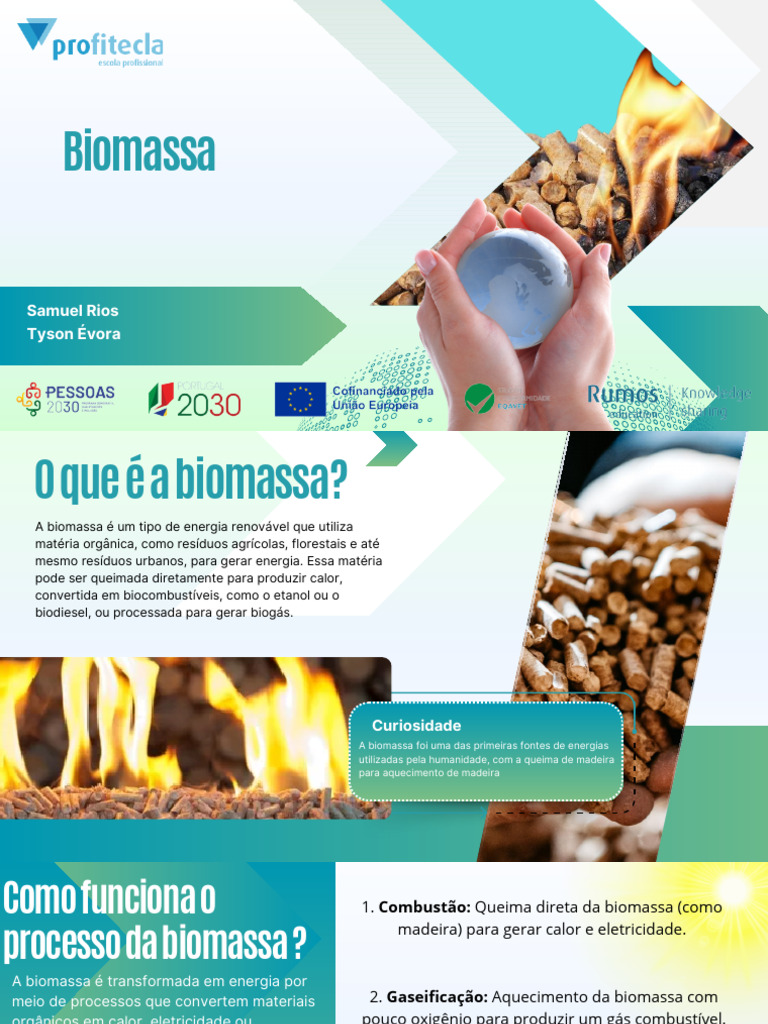 Biomassa: Energia Renovável e Sustentável | PDF | Biomassa | Geração de ...