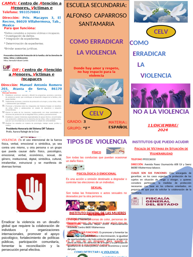 Estrategias para Erradicar la Violencia | PDF | Violencia | Trabajo Social