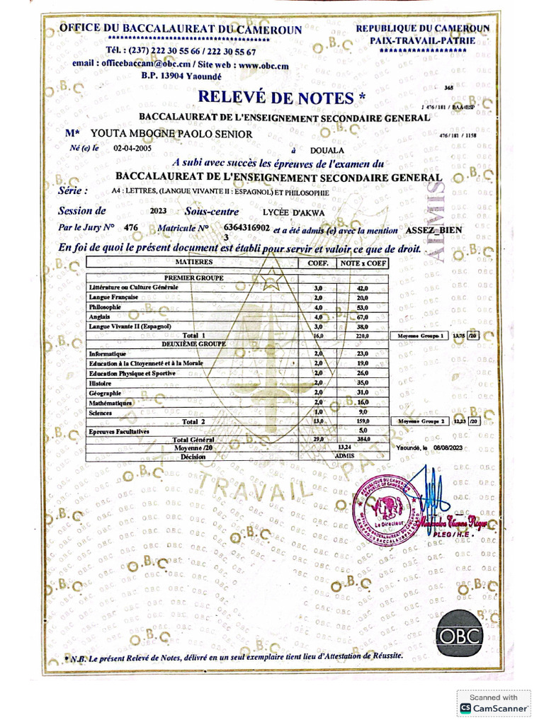 Relevé de Notes BACCALAURÉAT | PDF