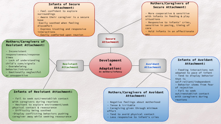 Mind Map - Attachment Theory | PDF | Attachment Theory | Infants