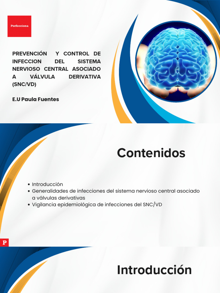 Prevencin y Control de Isnc Asociadas A VD - 67a02229ada17 | PDF ...