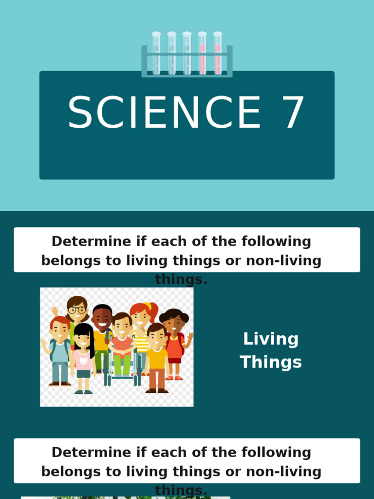 Science 7: Microscope Basics Week 1 | PDF | Microscope | Lenses