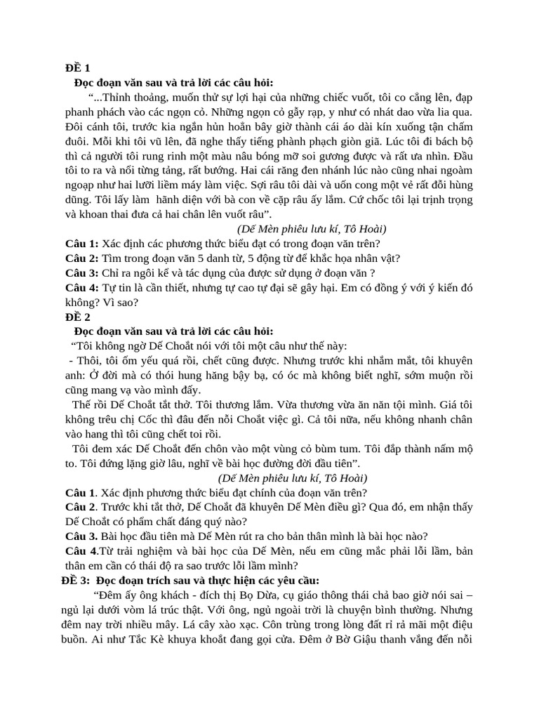 Phiếu Luyện Tập Đọc Hiểu | PDF