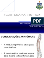 Fisioterapia No TRM