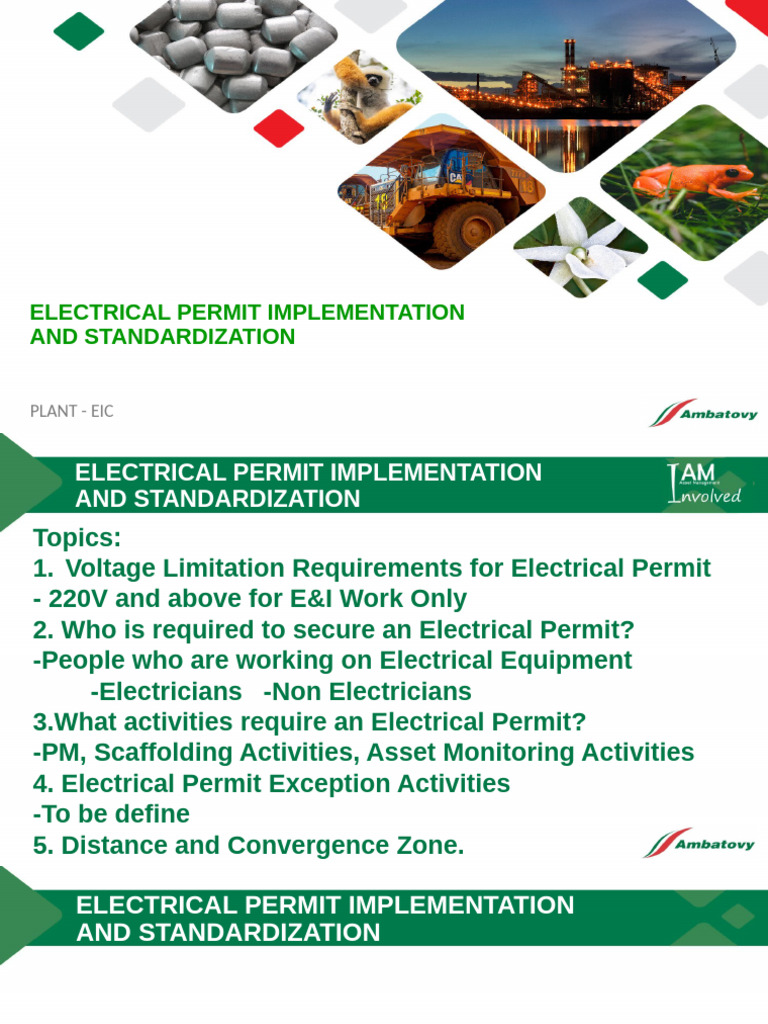 Electrical Permit Guidelines and Standards | PDF