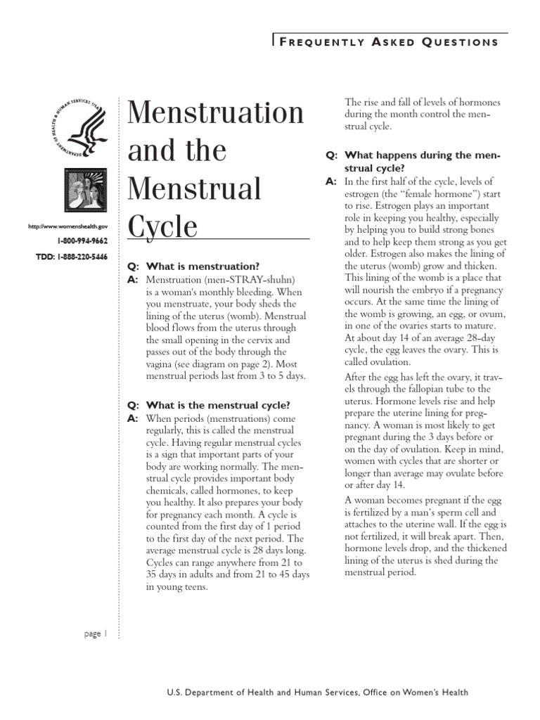 Understanding Menstruation Basics | PDF | Menstrual Cycle | Uterus