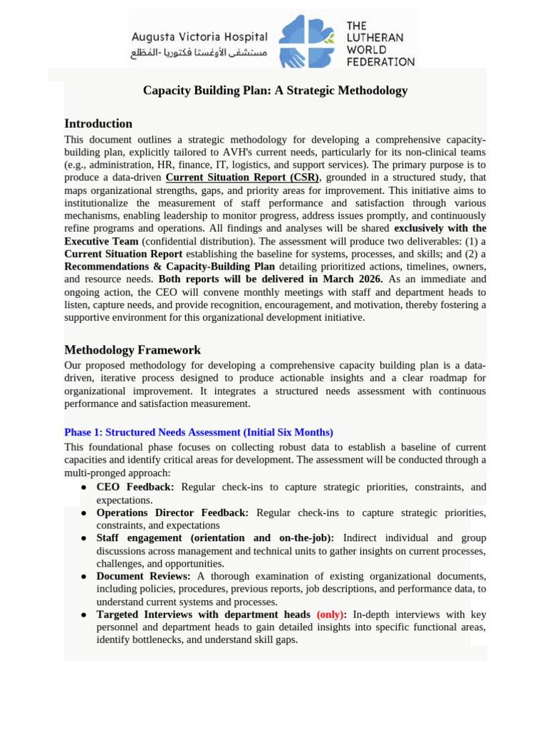 Strategic Capacity Building Plan Guide | PDF | Capacity Building | Data