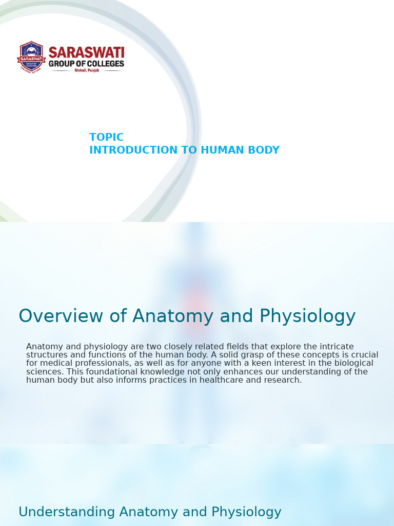 Anatomy and Physiology Overview | PDF | Human Body | Homeostasis