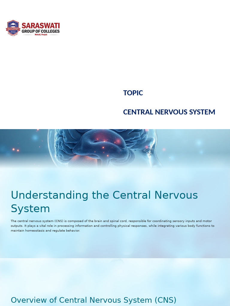 Understanding The Central Ner... | PDF | Central Nervous System ...