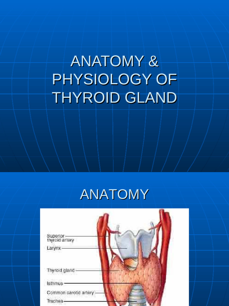 Thyroid Gland Anatomy & Physiology Guide | PDF
