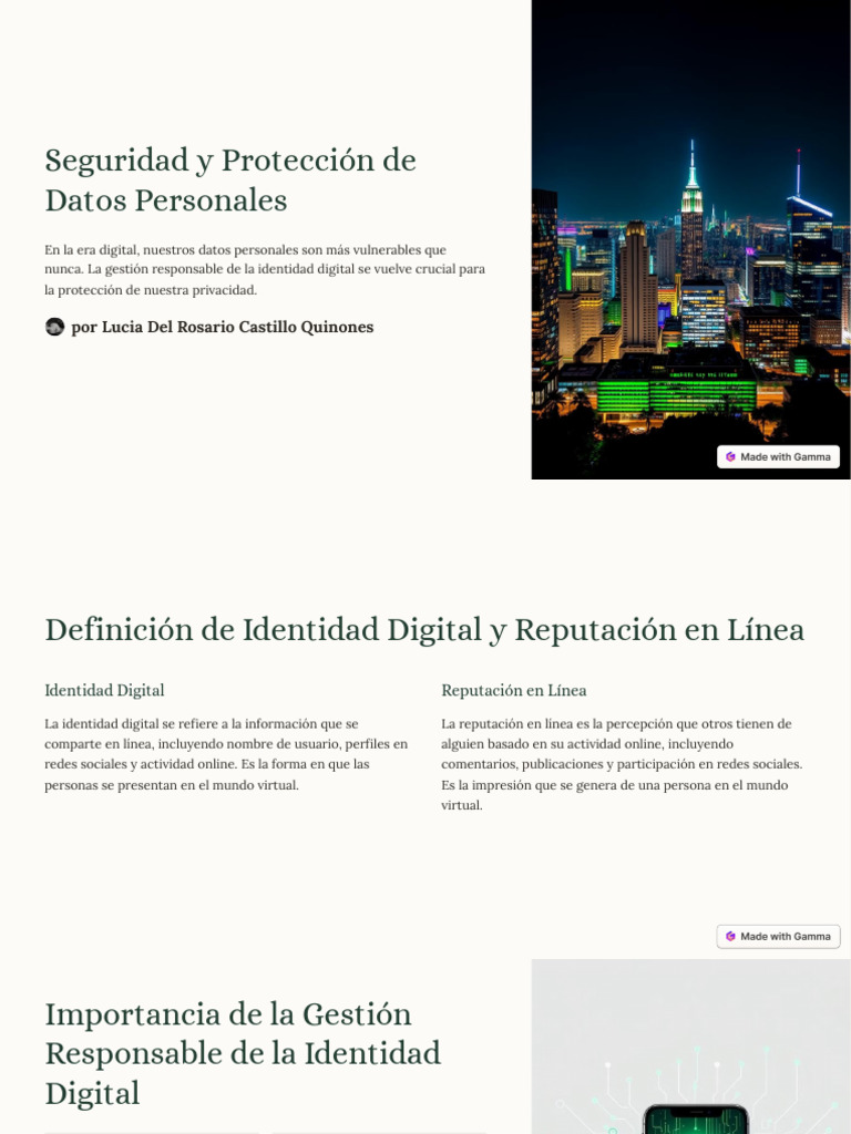 Protección de Datos y Identidad Digital | PDF | Internet | La seguridad ...