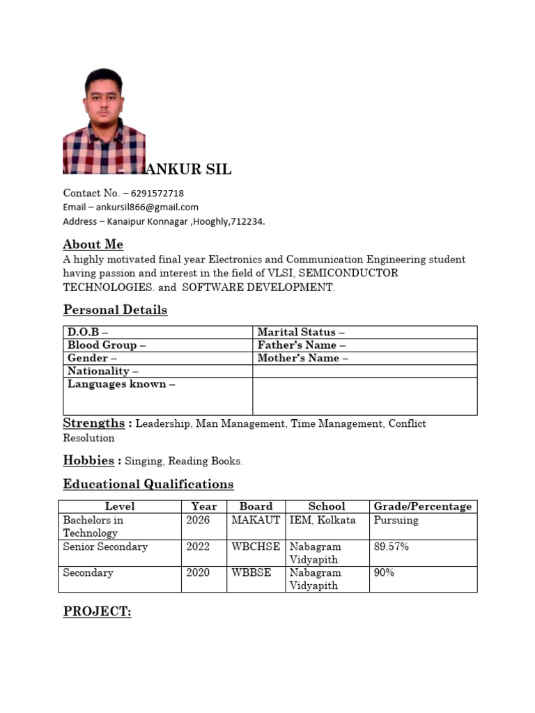 Electronics Engineering Student Profile | PDF