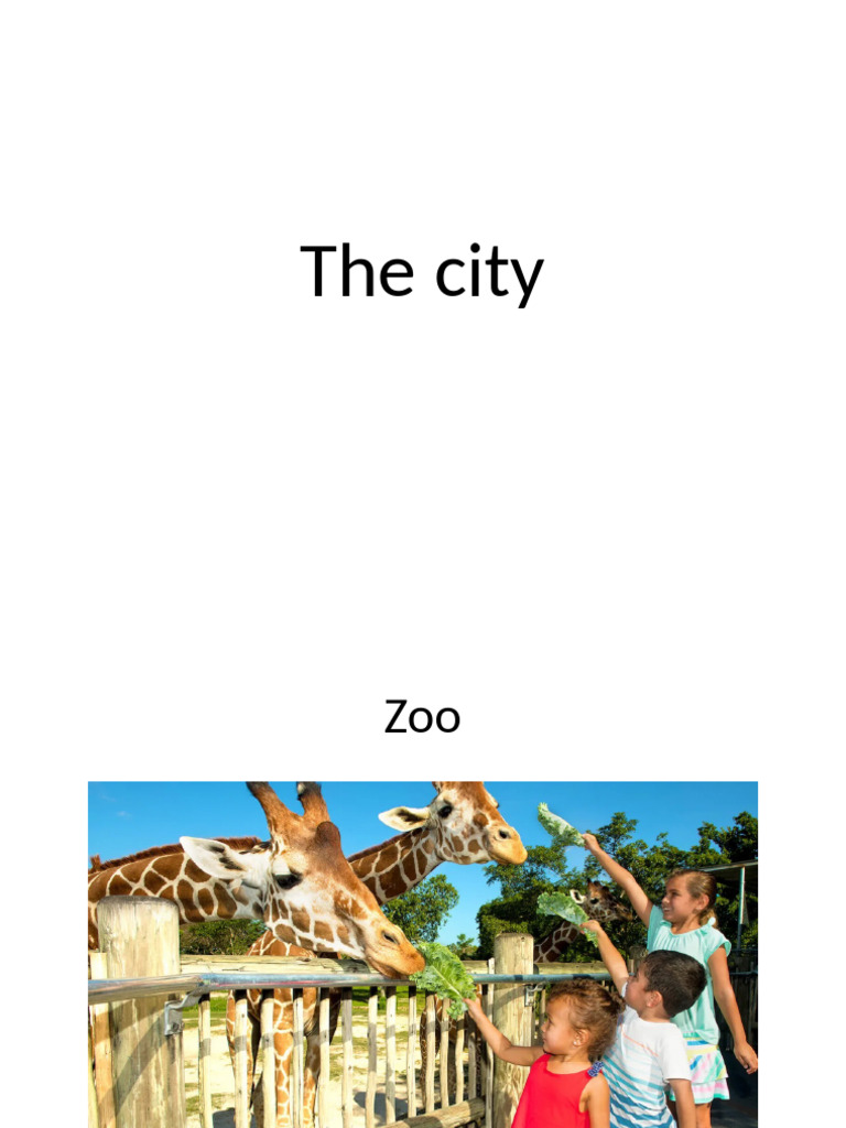 The City | PDF