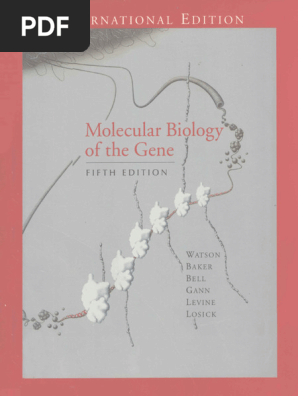 Molecular Biology of the Gene PDF | PDF