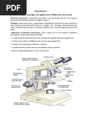 Microscope Diagram Unlabeled