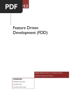 Feature Driven Development