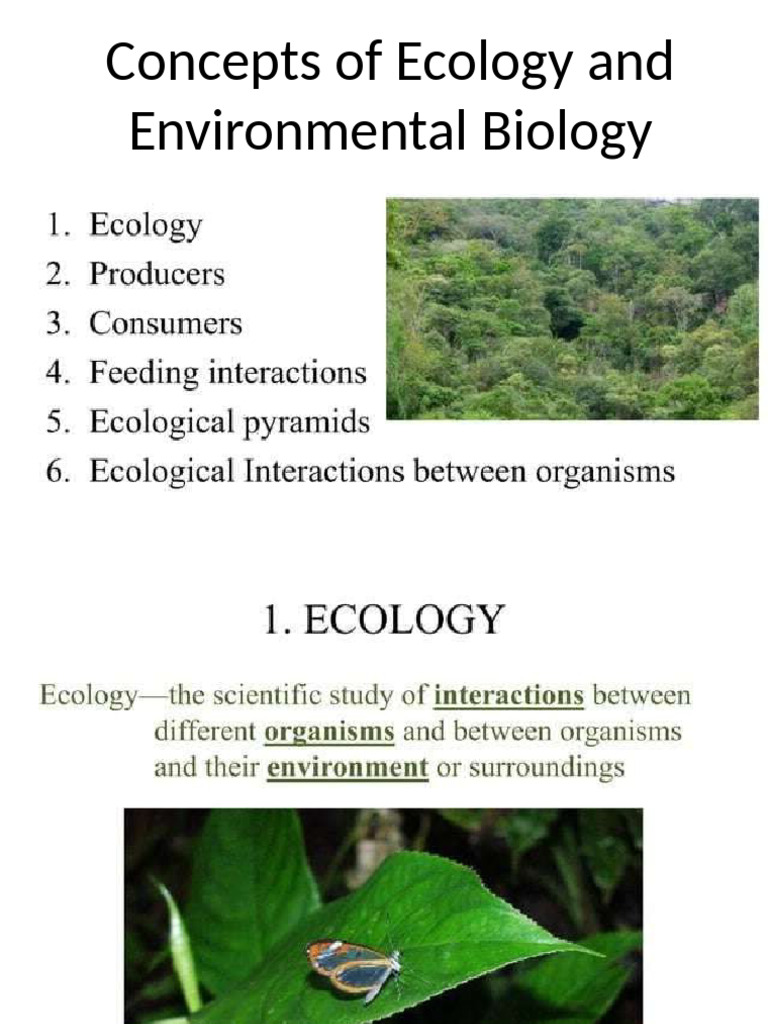 2P Concepts of Ecology and Environmental Biology | PDF