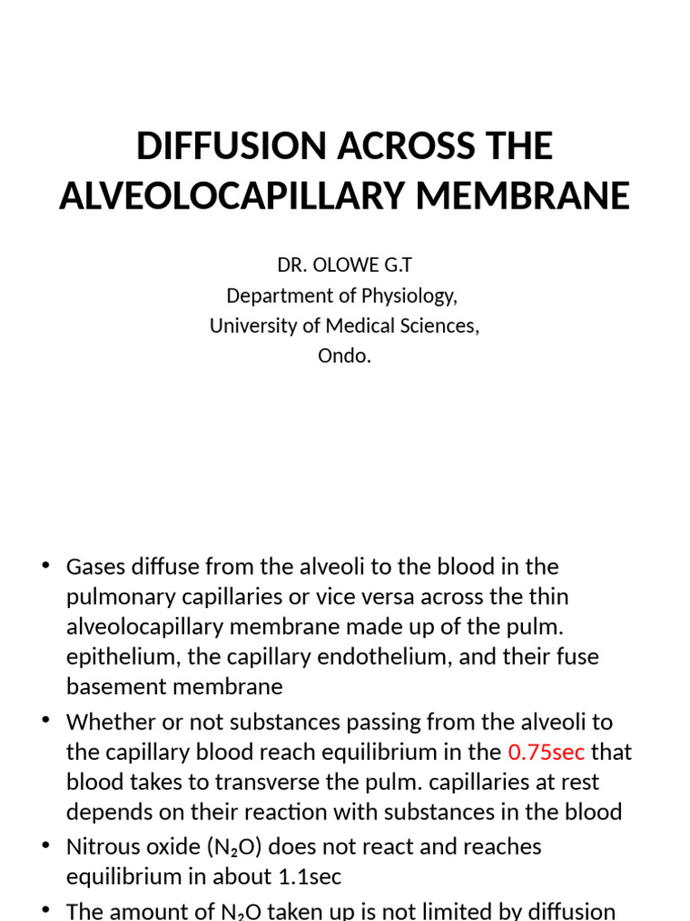 Alveolocapillary Membrane Diffusion Dynamics | PDF | Physiology ...