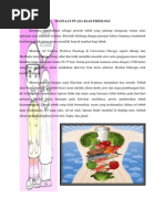 Download Manfaat Puasa Bagi by perawatok SN91681459 doc pdf