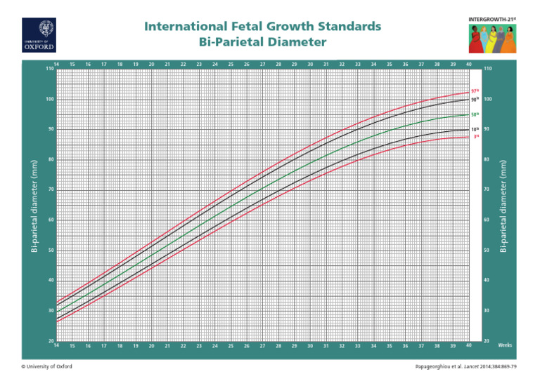 Intergrowth-21st BPD Reference Table | PDF