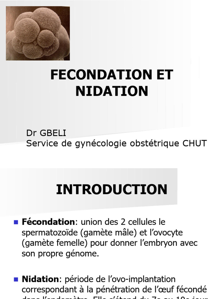 Fécondation et Nidation : Processus clés | PDF | Fécondation | la ...