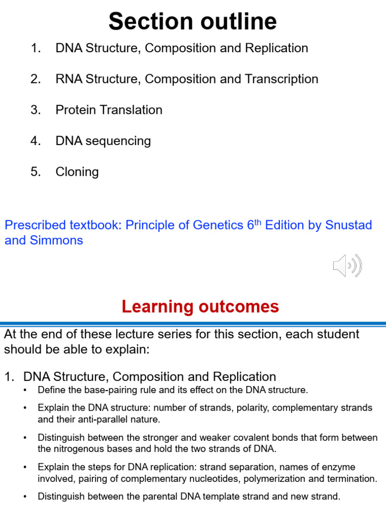 DNA, RNA, and Protein Synthesis Overview | PDF | Dna Replication ...