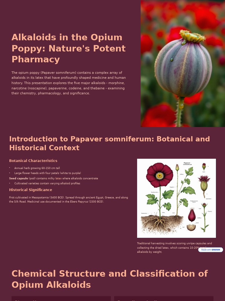 Alkaloids in The Opium Poppy Natures Potent Pharmacy | PDF | Morphine ...